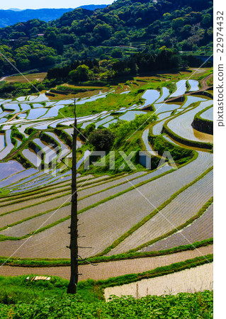偉大的河風景的米大陽台 22974432