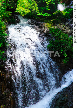 新鮮的綠色小龍瀑佈公園 22974492