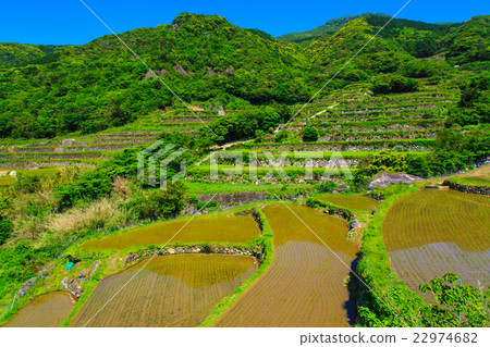 Kasuga's rice terrace Flooded landscape 22974682