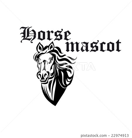 Black and white horse mascot of purebred stallion 22974913