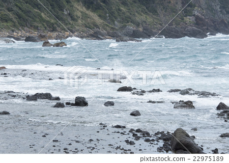 粗糙的伊豆海 22975189