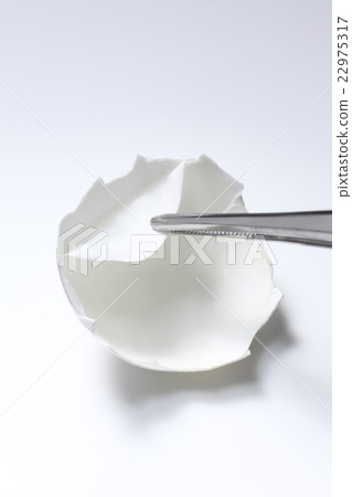 Egg shell  22975317