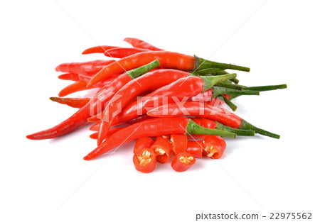red chili with stem on white background 22975562
