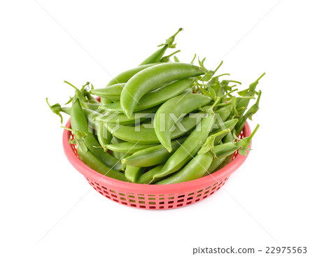 fresh green sweet pea with stem in basket fresh green sweet pea with stem in basket 22975563