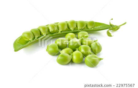 pile of sweet pea seed on white background pile of sweet pea seed on white background 22975567