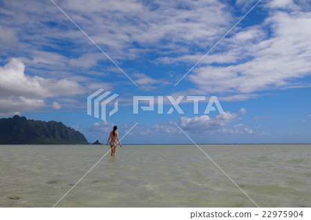 Phantom beach sand bar 22975904