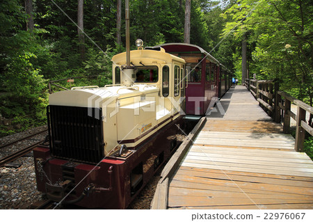 Truck train 22976067