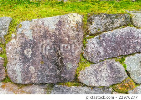 Stone wall with green moss . 22976277
