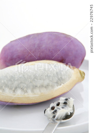 明美 明美 22976745