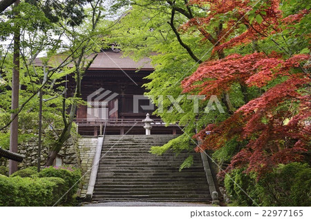 National Treasure Mitsuiji Kanpo 22977165