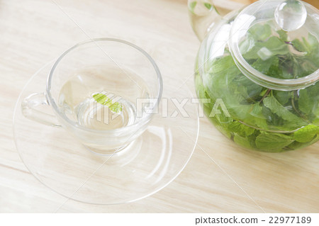 草本茶薄荷茶涼茶時間咖啡館有機 草本茶薄荷茶涼茶時間咖啡館有機 22977189