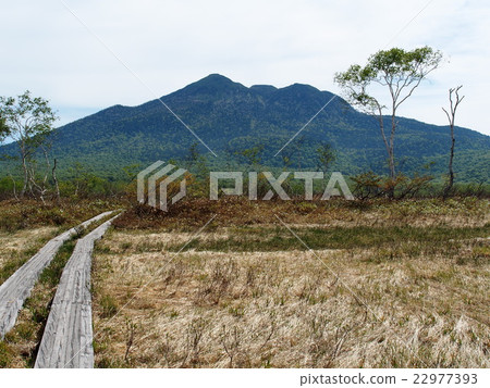 Ozegahara在初夏 22977393