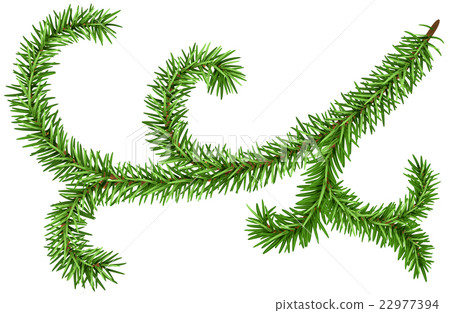 Decoration fir branch for Christmas wreath. Green 22977394