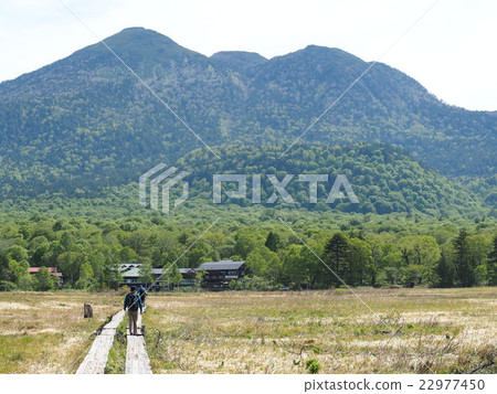 Ozegahara在初夏 22977450