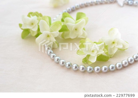 Kashiwaba繡球花和灰色珍珠 22977699