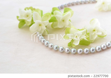 Kashiwaba繡球花和灰色珍珠 Kashiwaba繡球花和灰色珍珠 22977700