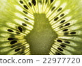 Center of kiwifruit. 22977720