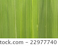 Leaf tiles in the background. 22977740