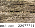 Crack of wood as a backdrop. 22977741