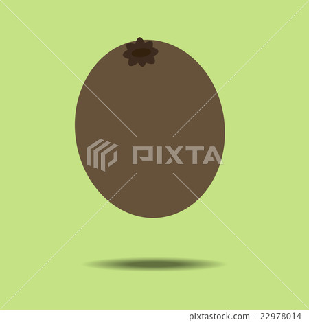 Kiwi Fruit Icon 22978014