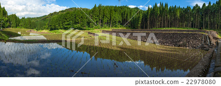 Terraced rice after the rain 22978080