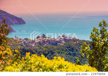 Rocky sea coast Rocky sea coast 22979094