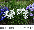 gardening  22980612