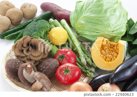 菜被分類的菜菜服務與菜 菜被分類的菜菜服務與菜 22980623