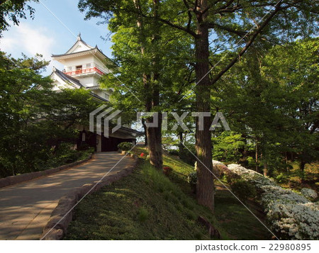 Kubota Castle Namiko and Azalea 22980895