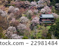 吉野山，在山的風景 22981484