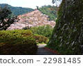 通往吉野山的道路 22981485