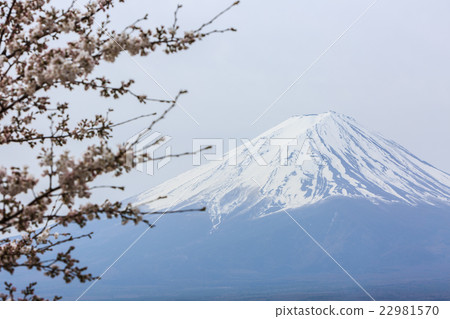 Mount fuji at Lake kawaguchiko in the morning. 22981570