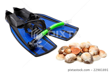 Diving equipment and seashells Diving equipment and seashells 22981891