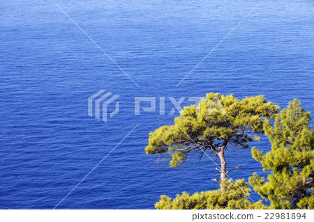 Top view on blue sunlight sea at sun day 22981894