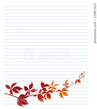 Red branch of grapes leaves on notebook paper Red branch of grapes leaves on notebook paper 22981929