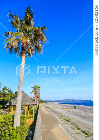 煙熏的海灘 22982156