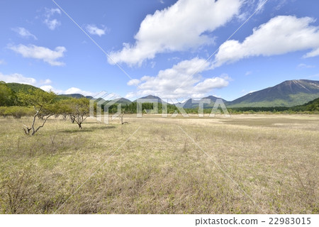 Odu-Nikko，Odashihara 22983015