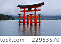 Torii of Miyajima 22983570
