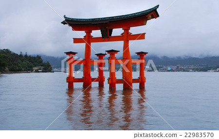 Torii of Miyajima Torii of Miyajima 22983570