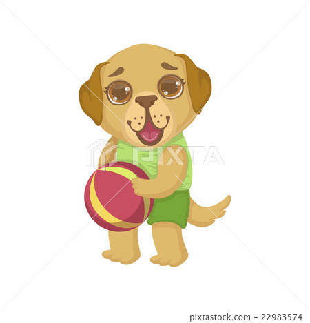 Puppy Holding The Ball Puppy Holding The Ball 22983574