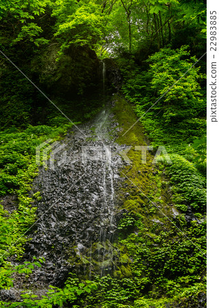 Dripping rock and salt water 22983885