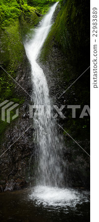 [Vertical shooting panorama] Ridiculous, head difference 40m! Hyogo Prefecture Shin-Onsen Town, Katsura Waterfall 22983889