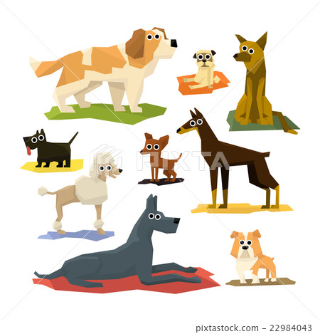 Different Dog Breeds Collection Different Dog Breeds Collection 22984043
