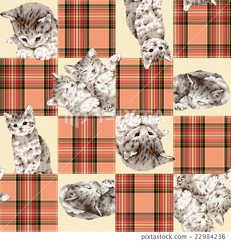 可愛的貓拼湊而成 22984236