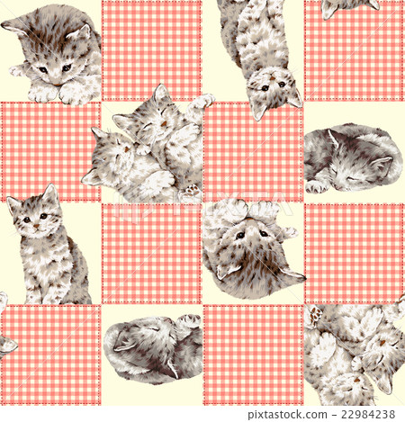 Patchwork of cute cats 22984238