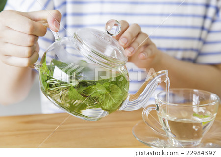 Female young lady herbal tea lifestyle cafe Female young lady herbal tea lifestyle cafe 22984397