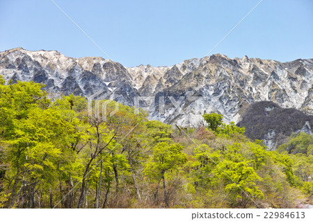 Daisen south wall of early summer 22984613