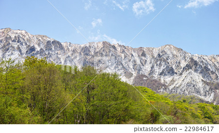 Daisen south wall of early summer 22984617