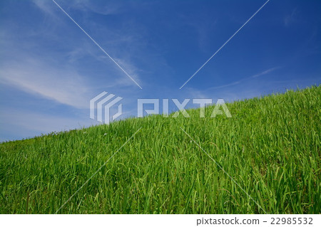 草小山和藍天 草小山和藍天 22985532