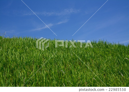 Grass hill and blue sky Grass hill and blue sky 22985538